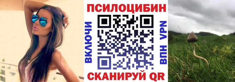 Галлюциногенные грибы Psilocybine cubensis  купить наркотики цена  Коркино 