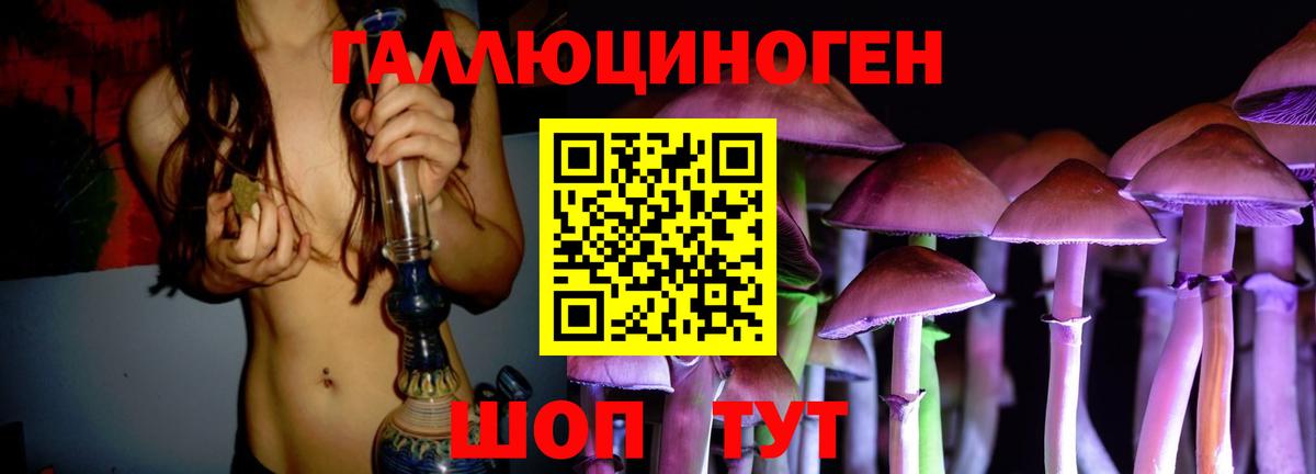 Коркино  Псилоцибиновые грибы Psilocybe  Галлюциногенные грибы Psilocybe  Вход с VPN 